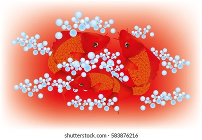  Beautiful red Koi carps