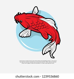 Beautiful red koi fish with blue circle background isolated vector illustration. Good for symbol or decorative element. 