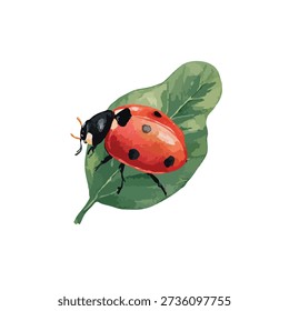 Beautiful red ladybug on a green leaf. Ideal vector art for nature, spring, and garden design projects.