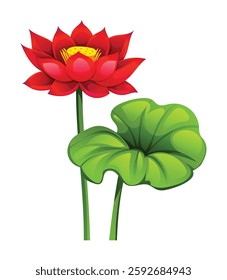 Beautiful red lotus flower with leaf. Vector cartoon illustration