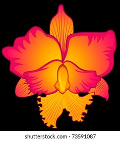 Beautiful red orchid. Vector