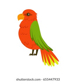 Beautiful red parrot with green wings colorful vector Illustration