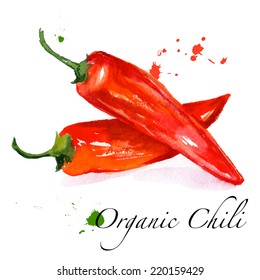 beautiful red pepper. Hand drawn, isolated on white background - watercolor, paper texture, stains and blots brush - style design for the label, cover, menu - vector illustration