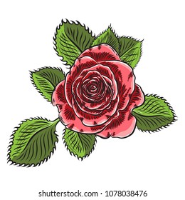 Beautiful red pink rose with green leaves isolated on white background. Element for design of greeting card and invitation for the wedding, birthday, Valentine' s Day, mother' s day. Vector.