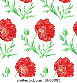 Beautiful red poppies on a white background. Vector seamless pattern
