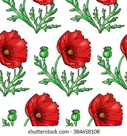 Beautiful  red poppies. Vector seamless pattern