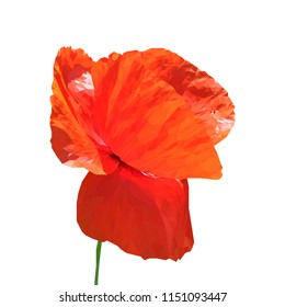 Beautiful red poppy. Bloom of poppy. Elements for label design. Vector illustration. Ingredients in triangulation technique. Poppy low poly.