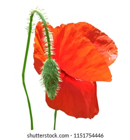Beautiful red poppy. Bloom of poppy. Elements for label design. Vector illustration. Ingredients in triangulation technique. Poppy low poly.