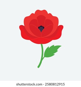 Beautiful red poppy flower vector art 