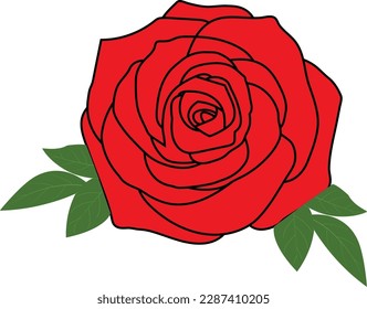 A beautiful red rose art vector