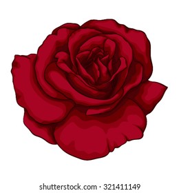 beautiful red rose with effect watercolor isolated on white background. for greeting cards and invitations of the wedding, birthday, Valentine's Day, mother's day and other seasonal holidays