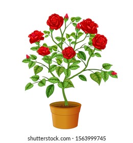 Beautiful Red Rose Flower Cartoon for your design