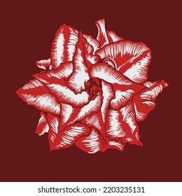 diseño de hermosos vectores de flores rojas
