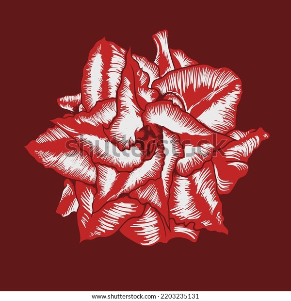 Beautiful Red Rose Flower Vector Illustration Stock Vector Royalty Free 2203235131 Shutterstock 1381