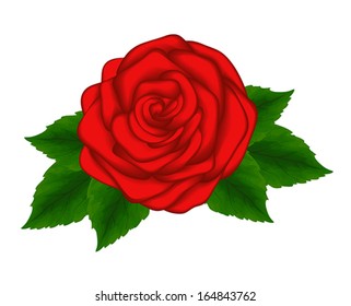 a beautiful red rose with green leaves isolated on white background