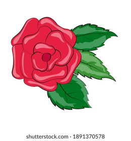 Beautiful red rose with green leaves isolated on white background. Colorful vector illustration.
