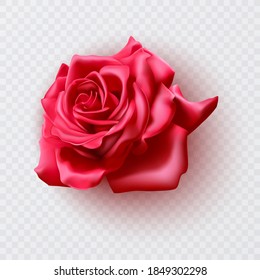 Beautiful red rose Isolated on white background. Photo-realistic gradient mesh vector eps 10 illustration.