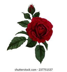 Beautiful red rose isolated on white. Perfect for background gre