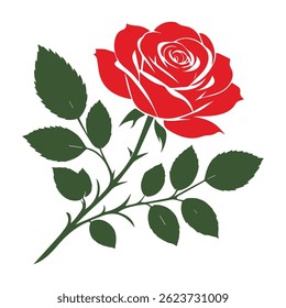 Beautiful red rose Isolated on white background