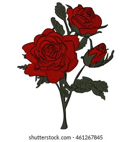 Beautiful red rose isolated on white. Red rose cartoon style, vector illustration.