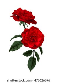 Beautiful red rose isolated on white. Perfect for background greeting cards and invitations of the wedding, birthday, Valentine's Day, Mother's Day.