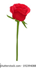 beautiful red rose with long stem isolated on white. Perfect for background greeting cards and invitations of the wedding, birthday, Valentine's Day