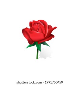Hermosa rosa roja con vector de trabajo de malla