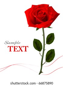 Beautiful red rose on a white background. Vector.