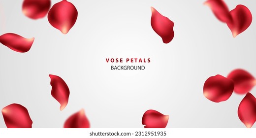 beautiful red rose petals background vector illustration