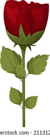 Beautiful red rose with petals and leaves. Vector illustration, elements and stickers for the holidays, happy valentine's, women's day, declaration of love