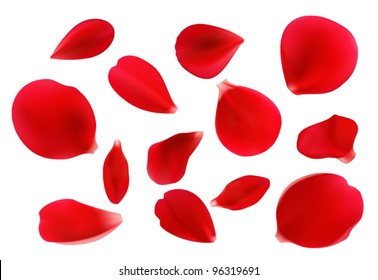 Beautiful Red Rose Petals. Vector Format