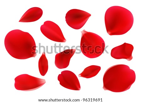 Beautiful Red Rose Petals Vector Format Stock Vector (Royalty Free