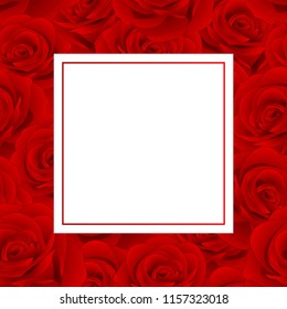 Beautiful Red Rose - Rosa Banner Card. Valentine Day. Vector Illustration.