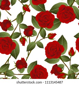 Beautiful Red Rose - Rosa on White Background. Valentine Day. Vector Illustration.