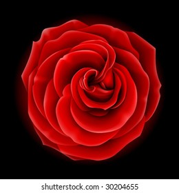 Beautiful red rose, symbol of love and passion (made using gradient meshes)