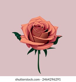 Un Hermoso Vector De Rosa Roja