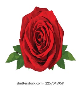 Hermoso arte vector rosa rojo de Illustrator 