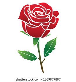 Beautiful red rose vector illustration isolated on white background. Suitable for romantic floral decoration, wedding bouquet and valentine greeting card.
