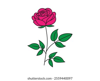 Beautiful Red Rose Vector Illustration