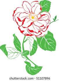   Beautiful red rose, vector illustration