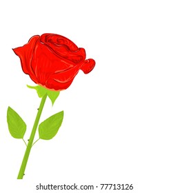 Beautiful red rose, vector illustration