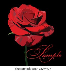 Beautiful red rose, vector illustration