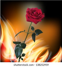 Beautiful red rose. Vector realistic illustration on flame background.   