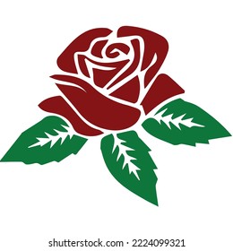 Beautiful red roses are often given to someone to express feelings of affection and love.