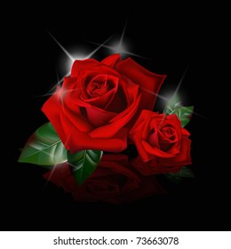 beautiful red roses on black background