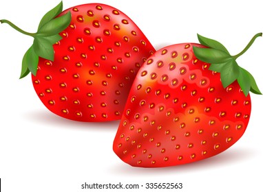 Beautiful red strawberry vector illustration