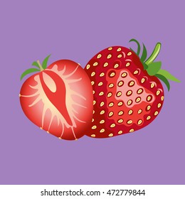 Beautiful red strawberry vector illustration. 