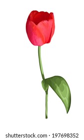 beautiful red tulip with the effect of a watercolor drawing isolated on white background.