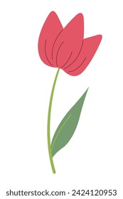 Beautiful red tulip isolated on white background. Vector graphics. Artwork design element. Cartoon design for poster, icon, card, logo, label.