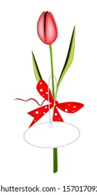 Beautiful Red Tulip with Red Ribbon and Bow Holding A Lovely Blank Gift Tag, Flower Is A Perfect Romantic Gift or Present for Someone Special. 